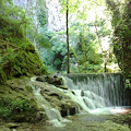 1° maggio col Corpo Forestale dello Stato alla scoperta di Valle delle Ferriere 