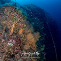 A Massa Lubrense il seminario conclusivo del progetto "Sirene e Campanella - I richiami del Golfo”