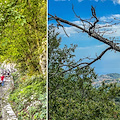 A Ravello un week-end con le "Passeggiate di gusto": tra natura, sapori e letteratura 