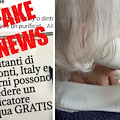 «A Tramonti purificatori d'acqua gratis», ma è una fake news: attenzione alle truffe telefoniche e online