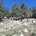 Ad Agerola il trekking arriva a scuola: alunni a lezione di natura lungo il Sentiero che porta a Colle Sant'Angelo