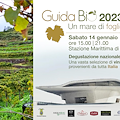 Agricoltura biologica, due vini Costa d'Amalfi DOC premiati con la "Foglia d’Oro 2023"