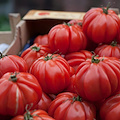 Agricoltura, la Campania cresce nella coltura protetta del pomodoro da mensa. Confagricoltura: “Nuove sfide all'orizzonte”