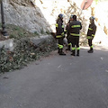 Albero sulla Statale ‘Amalfitana’, tratto chiuso a Piano di Sorrento