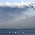 Allarme in Cile per l'eruzione del vulcano a Calbulco di ieri / VIDEO e FOTO