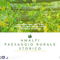 Amalfi, Paesaggio Rurale Storico: presentazione dossier è valso iscrizione nel registro del Ministero Politiche Agricole