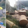 Amalfi, polemiche e offese su taglio pino a Vettica. Sindaco spiega che l’albero era a rischio cedimento e annuncia querele