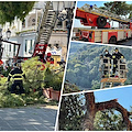 Amalfi: reciso ramo in bilico, viabilità ripristinata [FOTO]