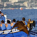 Amalfi rinuncia a Regata Repubbliche Marinare. Si svolgerà a Genova il 19 dicembre