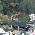 Amalfi, vento sradica pino marittimo a poca distanza dalle abitazioni /FOTO