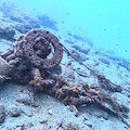 Ambiente, avviato il monitoraggio dei fondali marini di Sorrento