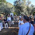 Anacapri: grande partecipazione al convegno de "L’Oro di Capri" sugli ulivi secolari dell’isola con i ricercatori del CNR 