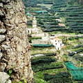 Anche le macere della Costa d'Amalfi tra i muretti a secco patrimonio dell'Umanità Unesco