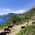 Bandi Gal Terra Protetta, prorogato il termine ultimo di presentazione delle domande di sostegno 