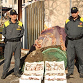 Battuta di pesca illegale nel mare della Costiera, Finanza sorprende peschereccio /FOTO