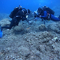 “BIOWatching nel Blu”: buona la prima per l’iniziativa di Citizen Science in Costiera Amalfitana