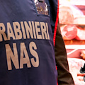 Blitz dei NAS ad Amalfi: sequestrata la cucina di un locale in Piazza Duomo