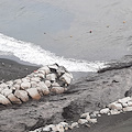 Bomba d’acqua sulla Costiera Amalfitana: allarme ad Atrani e fango sulla Statale /VIDEO