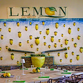 “Brindiamo a Sant'Anna con Limoni e Gusto!”: venerdì 26 serata a tema al Lemon Paradise di Minori