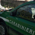 Brucia sterpaglie a Cetara: Carabinieri Forestale denunciano l’autrice per incendio boschivo