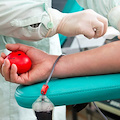 Cetara risponde ad appello donazione sangue: 9 aprile giornata di raccolta