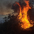 Conca dei Marini, incendio nella notte. Chiusa la Statale Amalfitana