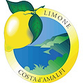 Consorzio Limoni IGP: mercoledì 26 febbraio convocata assemblea ordinaria dei soci