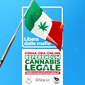 Costa d'Amalfi: anche il Collettivo UANM aderisce al referendum su depenalizzazione uso cannabis