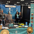 Da Amalfi a New York: l’azienda Sea Horse Luxury Boat protagonista alla fiera Travel & Adventure Show