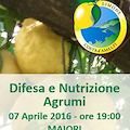 Difesa e nutrizione agrumi, se ne discute a Maiori