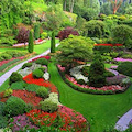 Dobbiamo coltivare il nostro giardino