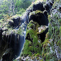 ‘ForestAmica’ a Scala, 10 maggio tutti alla Valle delle Ferriere