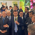 Fruit Logistica 2024: il Limone Costa d’Amalfi IGP brilla nella vetrina ortofrutticola mondiale. Amato: «Il Consorzio è in prima linea a tutela degli agricoltori locali».