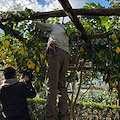 GAL Terra Protetta, apertura nuovi bandi per associazioni di imprese e gruppi di cooperazione della Costa d’Amalfi