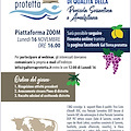 Gal Terra Protetta, lunedì webinar sul costituendo Daq Costiere Sorrentina e Amalfitana