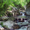 Giornata Nazionale delle Oasi, 12 maggio escursione a Valle delle Ferriere