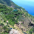  I terrazzamenti della Costa d’Amalfi come paesaggio culturale UNESCO. Intervista a Marina Fumo, direttrice Cittam