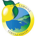 Il Consorzio Limone Costa d’Amalfi IGP incontra il Consigliere Regionale all’Agricoltura