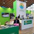 Il Distretto Turistico porta il brand “Authentic Amalfi Coast” al TTG di Rimini