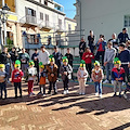 In Costiera Amalfitana si celebra la "Festa dell'albero", tutte le iniziative 