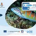 L’educazione ambientale nelle scuole: lunedì a Vietri sul Mare la presentazione del progetto di “Pesca in Campania”