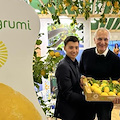 L'OP Costieragrumi porta il Limone IGP “Costa d’Amalfi” al Fruit Logistica 2023 di Berlino