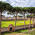 La “Palestra Culturale” di Pompei prosegue l'8 settembre con Massimo Fusillo che presenta "La Grecia secondo Pasolini"