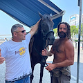 Lascia tutto e gira l’Italia a cavallo: Cristian Moroni è giunto in Costa d’Amalfi con la sua Furia /FOTO e VIDEO