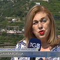 Limone Costa d’Amalfi IGP minacciato dal mal secco: al TG Regione l’allarme degli agricoltori locali [VIDEO]