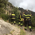 Maiori: Capone visto sui sentieri dell'Avvocata, ricerche si concentrano in montagna [FOTO]