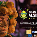 Maiori, tutti al lavoro per il Gran Carnevale: in rete il nuovo spot [VIDEO]