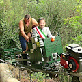 Monorotaie su cui camminano le speranze dell’agrumicoltura