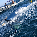 Natante imbarca acqua e si ribalta a Conca dei Marini, pericolo scampato per 5 diportisti [FOTO]