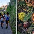 “Passeggiando tra i borghi”, 27 ottobre escursione autunnale con la Pro Loco Tramonti